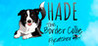 SHADE The Border Collie Flycatcher Image