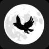 Nighty Bird Image