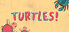 Turtles Image