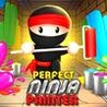 Perfect Ninja Painter Image