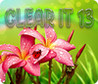 ClearIt 13 Image