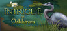 Intrigue At Oakhaven Image