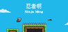 Ninja Ming Image
