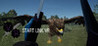 Start Link VR