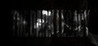 The Dark Legacy