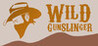 Wild Gunslinger Image
