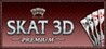 Skat 3D Premium Image