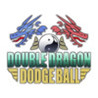 Double Dragon Dodgeball Image