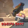 RACING BROS Image
