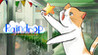 Raindrop Sprinters Image