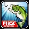 Flick Fishing Image