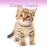 Kitten Slider Puzzle HD Image
