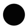 A Noble Circle Image