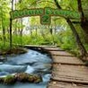 Nature Escapes 2 Image