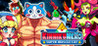 KinnikuNeko: SUPER MUSCLE CAT Image