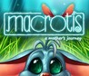 Macrotis: A Mother's Journey