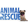 Animal Rescue Image