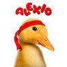 Alexio Image