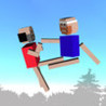 Fighter Physics Image