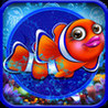 Fish Aquarium Image