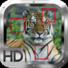 Find Fast Animals Image