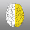 BRAIN-TRAIN Image