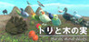 Birds and Nuts