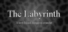 The Labyrinth (2021)