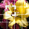 Picture Puzzle (2014) Image
