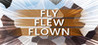 Fly Flew Flown Image