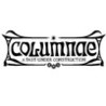 COLUMNAE: A Past Under Construction Image