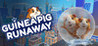 Guinea Pig Runaway