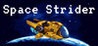 Space Strider