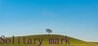 Solitary mark Image