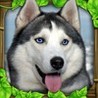 Stray Dog Simulator Image