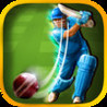 Cricket Batting Challenge 2014 Image