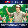 ACA NeoGeo: Neo Turf Masters Image