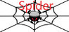 Spider Image