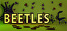 BEETLES Image