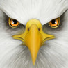Ultimate Bird Simulator Image