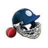 Cricket Captain 2014 Image