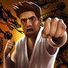 Ultimate Combat Fighting Image