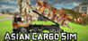 Asian Cargo Sim Image