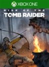Rise of the Tomb Raider: Endurance Mode