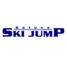 Deluxe Ski Jump Image