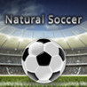 Natural Soccer Image