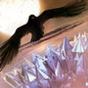 Cryptic Caverns Image