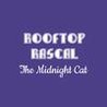 Rooftop Rascal: The Midnight Cat Image