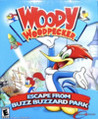 Woody Woodpecker: Escape from Buzz Buzzard Park