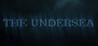 The Undersea Image